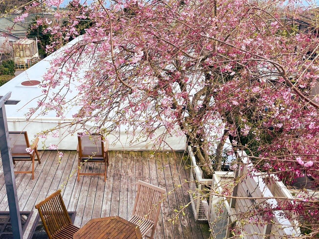 Paysage 伊豆高原 *